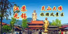 啊哈要射了爽死了视频江苏无锡灵山大佛旅游风景区