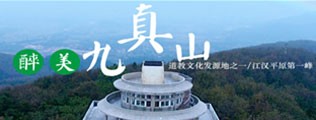 后入老熟女区