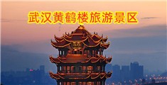 嗯八灬快灬别拨灬使劲的视频