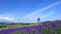 嗯…嗯…快点鸡巴操我视频日本一地6日游  境外旅游 6880元/人
