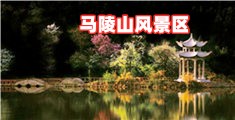 日逼大片